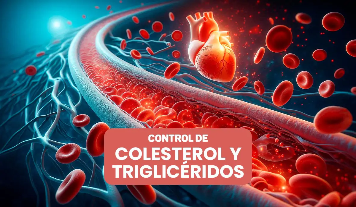 Control Médico de Triglicéridos y Colesterol en Quito