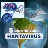 5 aspectos que no sabíamos sobre el hantavirus