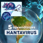 5 aspectos que no sabíamos sobre el hantavirus